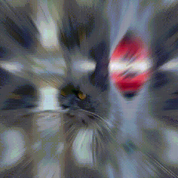 a blurry picture of a cat and a red object in the background