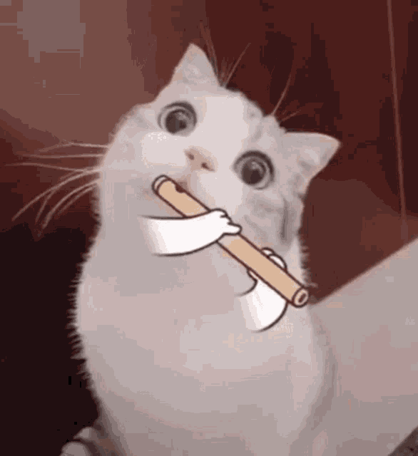 флейтист Cat GIF - флейтист Cat Flute GIFs