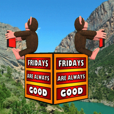two monkeys sitting on a box that says fridays are always good
