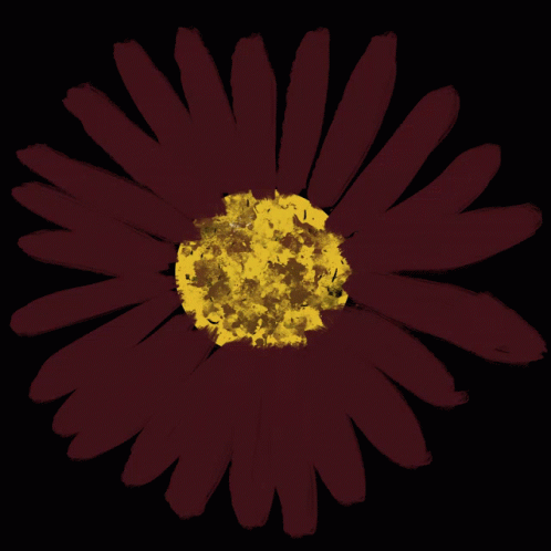 Flowers Floral GIF - Flowers Floral Daisy GIFs