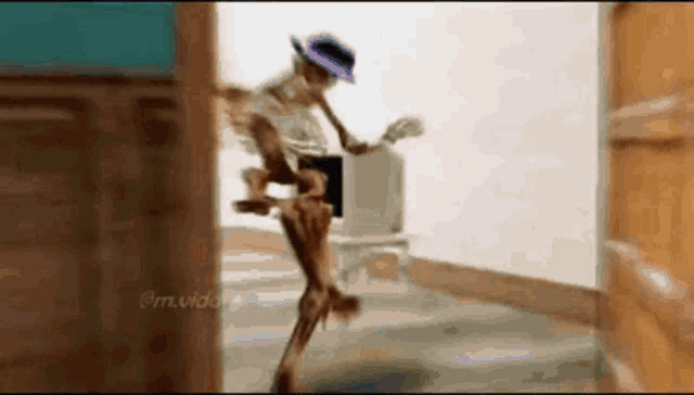 a skeleton in a hat is standing in a doorway holding a guitar .