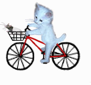 Bike Bicycle GIF - Bike Bicycle Cycling GIFs