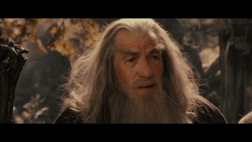 Gandalf Grey Wizard GIF - Gandalf Grey Wizard GIFs
