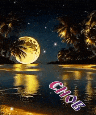 a full moon is shining over a body of water with palm trees in the background .