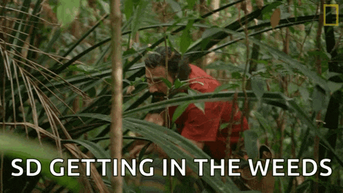 a man in a red jacket is standing in the jungle .