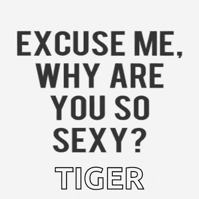 a poster that says excuse me why are you so sexy ? tiger