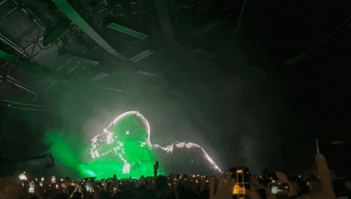 a crowd of people at a concert with a green light projected on a stage