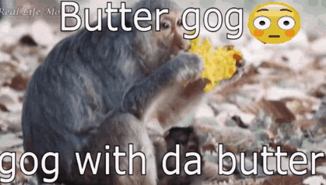 Gog Butter Gog GIF - Gog Butter Gog Butter Dog GIFs