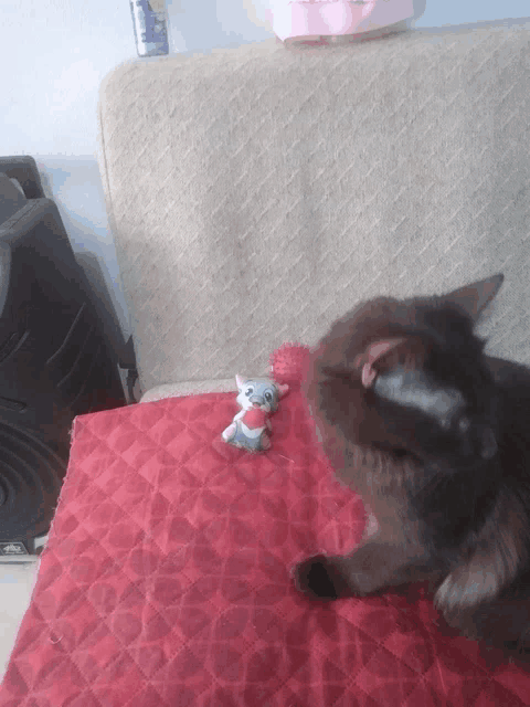 a cat laying on a red blanket next to a toy