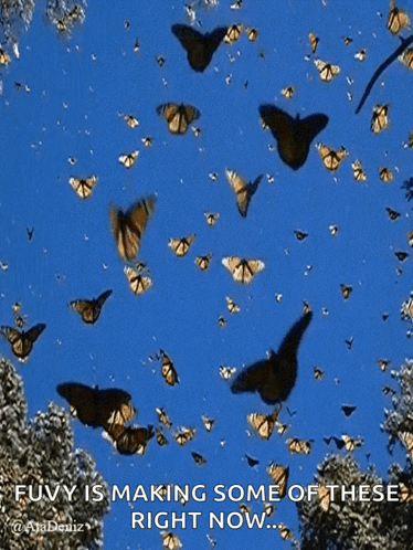 Butterfly GIF - Butterfly Fly GIFs
