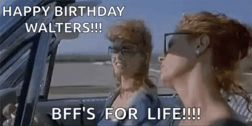 Thelma And Louise Bf Fs For Life GIF - Thelma And Louise Bf Fs For Life GIFs