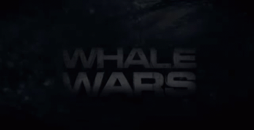 Whale Wars Whale GIF - Whale Wars Whale GIFs