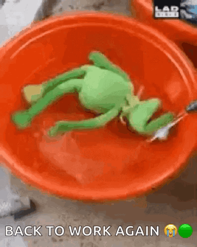 Kermit Water GIF - Kermit Water Evangelion GIFs