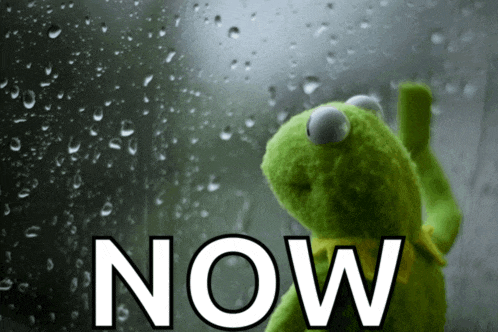 a kermit the frog is looking out a window with the word now behind him