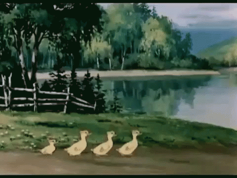 уточки уточка утки утята прогулка идем гулять GIF - Ducks Ducklings Walking GIFs