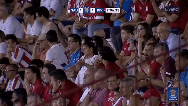Crowd Fans GIF - Crowd Fans Watching GIFs