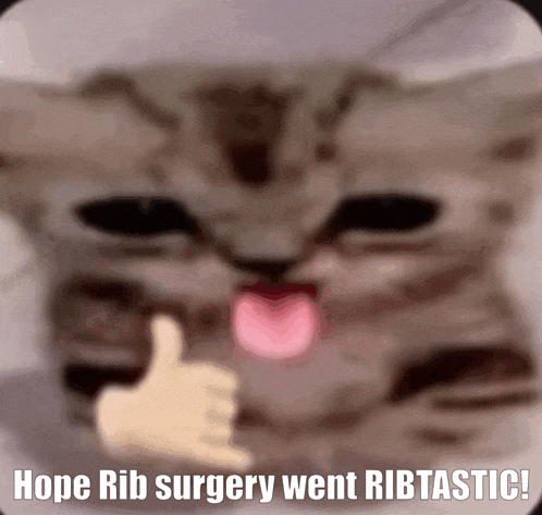 a cat giving a thumbs up with the words hope rib surgery went ribtastic below it