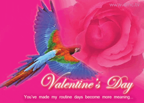 a valentine 's day greeting card with a parrot and a pink rose