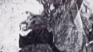 a black and white photo of a person 's face with the year 2012 on the bottom right corner