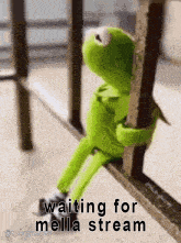 kermit the frog is sitting on a railing holding onto a pole and waiting for meilla stream .