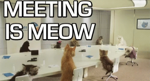 Meeting Meetings GIF - Meeting Meetings Meeting Is Now GIFs