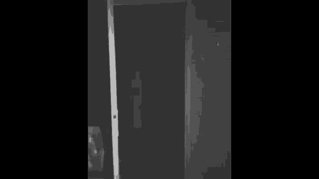 a black and white photo of a door in a dark room