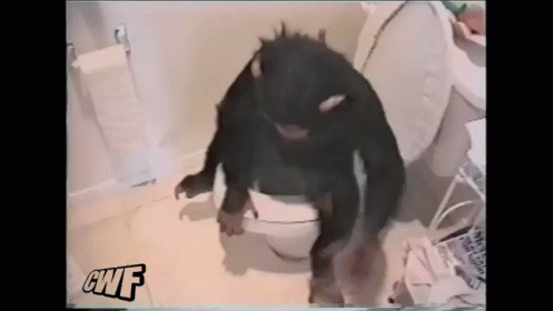 Monkey Uses Toilet?!?! GIF - Wtf Omg Monkey GIFs
