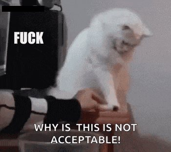 a white cat is sitting on top of a wooden table with a person holding it .