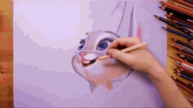a person is drawing a rabbit with colored pencils including one that says prismacolor