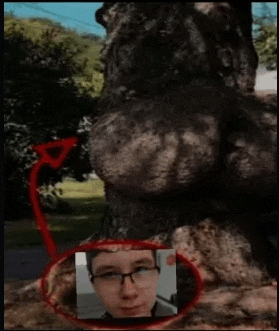 a picture of a man with glasses is behind a tree trunk