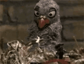 a stuffed bird is sitting in a pile of popcorn .