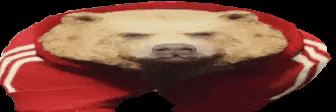 a close up of a teddy bear wearing a red hoodie and red pants .