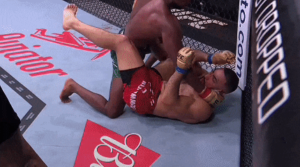 two men are wrestling in a cage with a sign that says closed on it