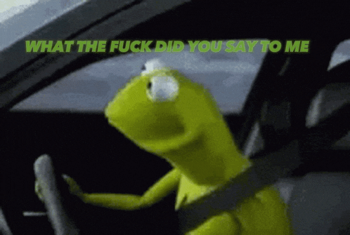 kermit the frog driving a car with the words what the fuck did you say to me