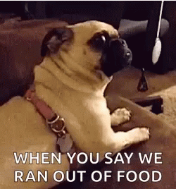 Dogs Pugs GIF - Dogs Pugs We Ran Out GIFs