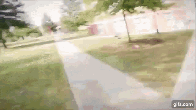 a blurred image of a person walking down a sidewalk in a park
