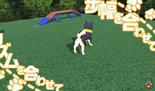 a video game screen shows a dog playing in a park