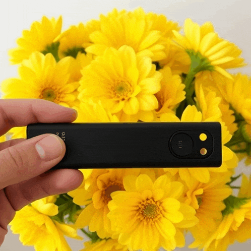 a person holding a black device that says air on it in front of a bunch of yellow flowers