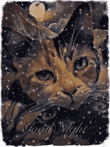 a painting of a cat with the words good night written below it