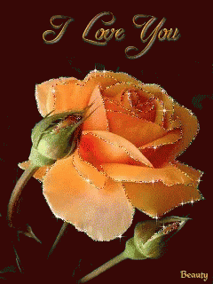 a picture of a yellow rose with the words i love you