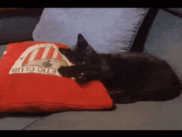 a cat sleeping on a red pillow that says etic club