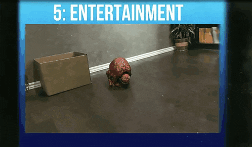 a screen shows a box and a monster under the heading of entertainment
