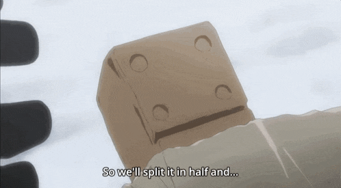 a person is holding a piece of wood and says so we 'll split it in half and