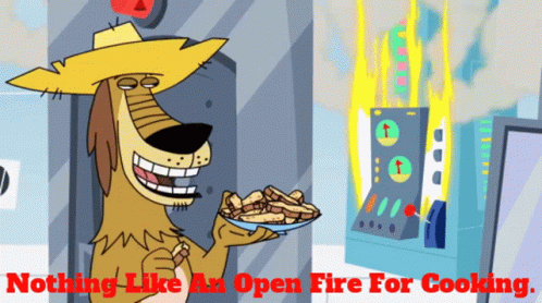 Johnny Test Dukey GIF - Johnny Test Dukey Nothing Like An Open Fire For Cooking GIFs