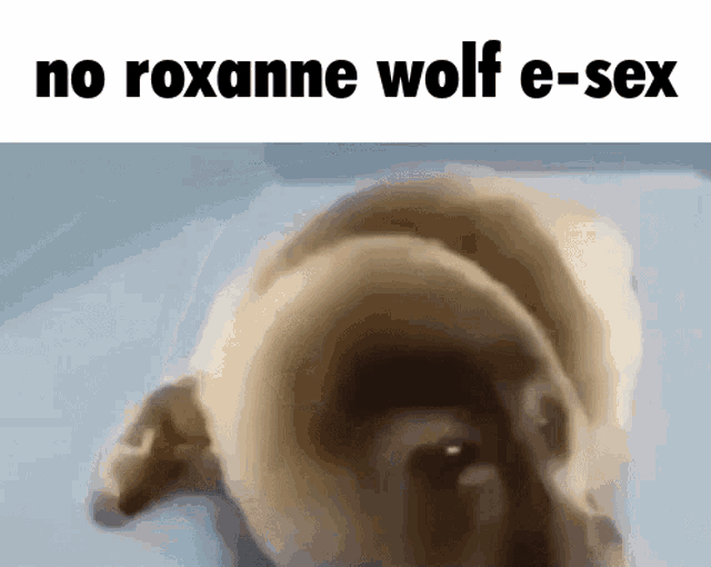 a picture of a dog with the words no roxanne wolf e-sex