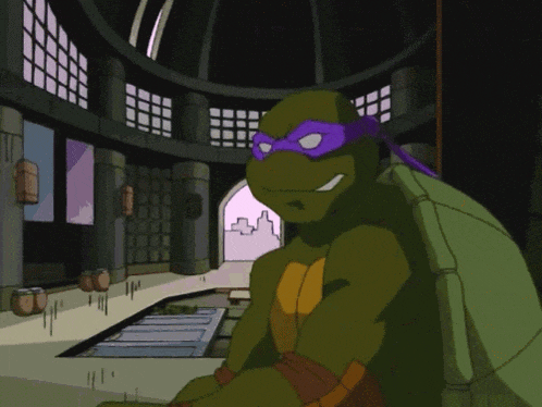 a teenage mutant ninja turtle with a purple mask on his face