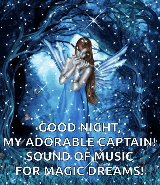 a fairy playing a flute with the words good night my adorable captain sound of music for magic dreams on the bottom