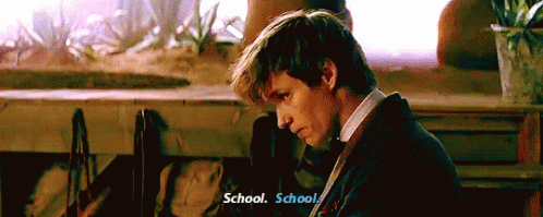 Fantastic Beasts Fantastic Beasts And Where To Find Them GIF - Fantastic Beasts Fantastic Beasts And Where To Find Them School GIFs