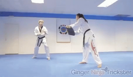 Taekwondo Kick GIF - Taekwondo Kick GIFs