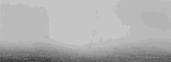 a black and white photo of a herd of horses with the words soundtrack for lovers below them